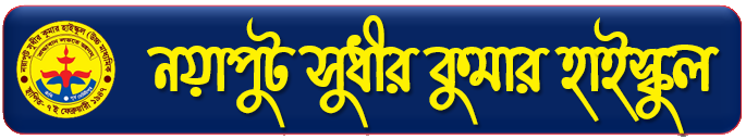 Nayaput Sudhir Kumar High School